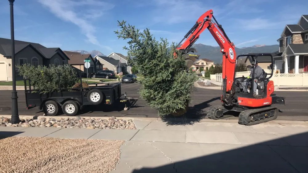 Top-rated landscape installation experts serving Park City, UT - Four Seasons Landscaping