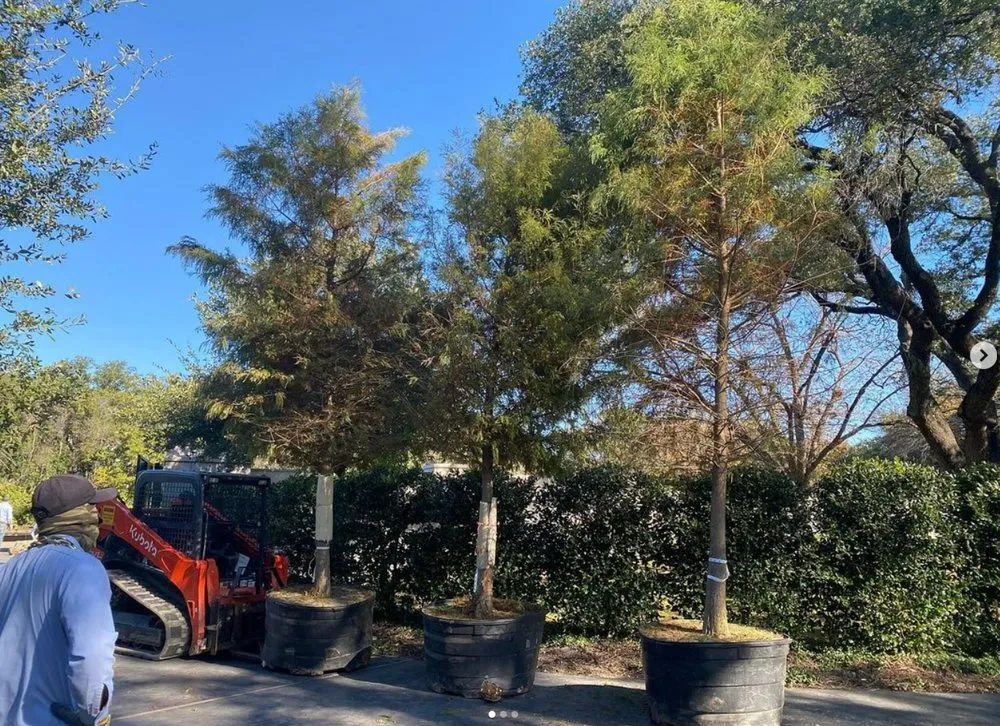 Expert lawn care service with custom design in Murphy, TX by Four Seasons Lawn + Landscape