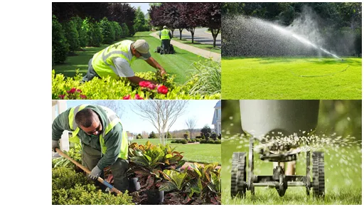 Four Seasons Lawn & Landscaping Logo