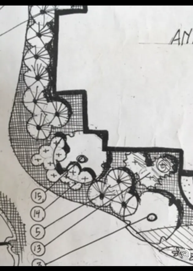 Custom yard cleanup service in Starkville, MS by Four Seasons Lawn and Landscape