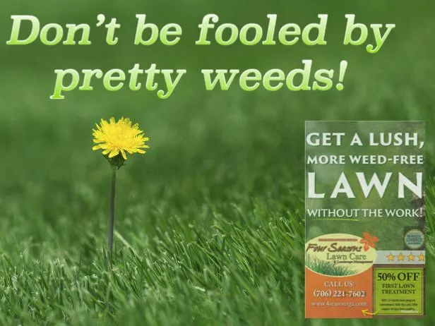 Top-rated landscaping services in Columbus, GA - Four Seasons Lawn Care