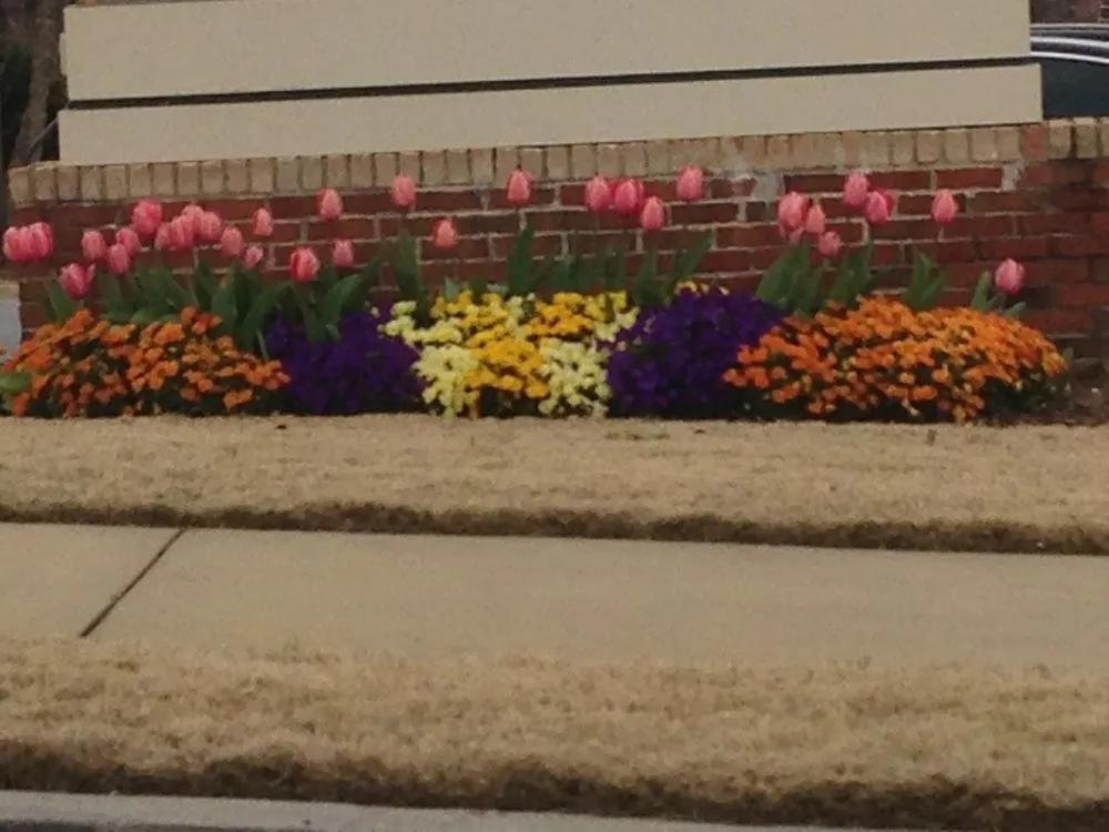 Reliable lawn mowing service for beautiful yards in Columbus, GA by Four Seasons Lawn Care