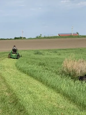 Four Seasons Lawn Care