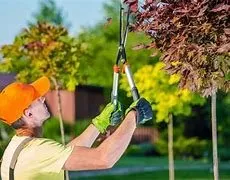 Professional yard cleanup service in Odenton, MD - Four seasons Lawn Care
