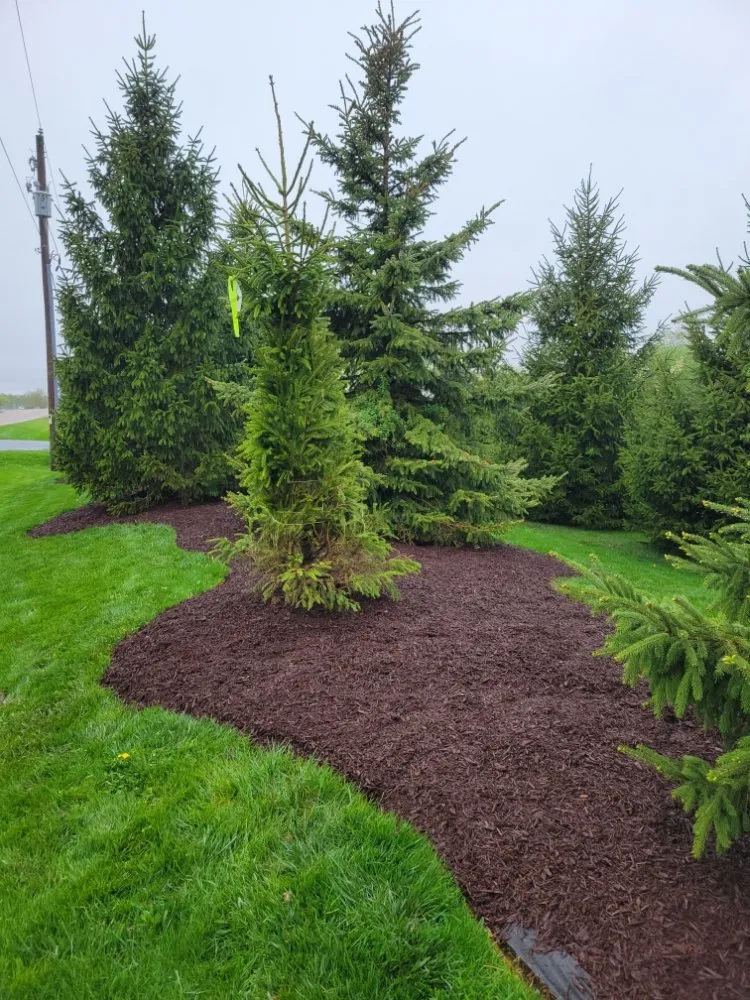 Affordable garden landscaping in Rockford, IL by Four Seasons Lawn Care