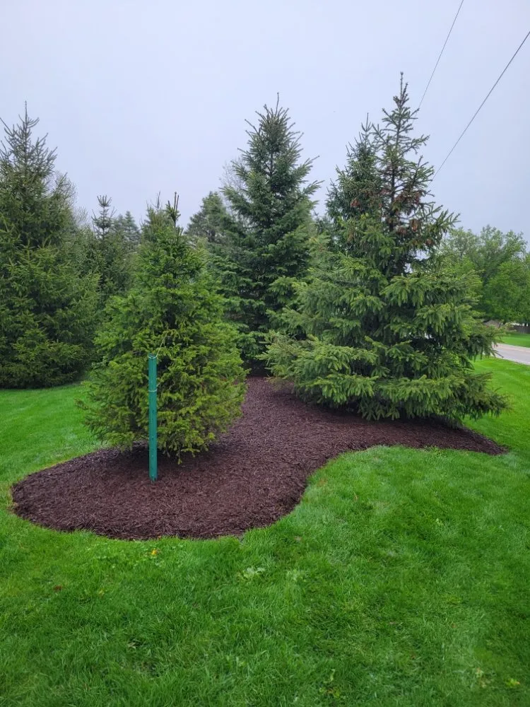Reliable yard maintenance for year-round maintenance in Rockford, IL by Four Seasons Lawn Care