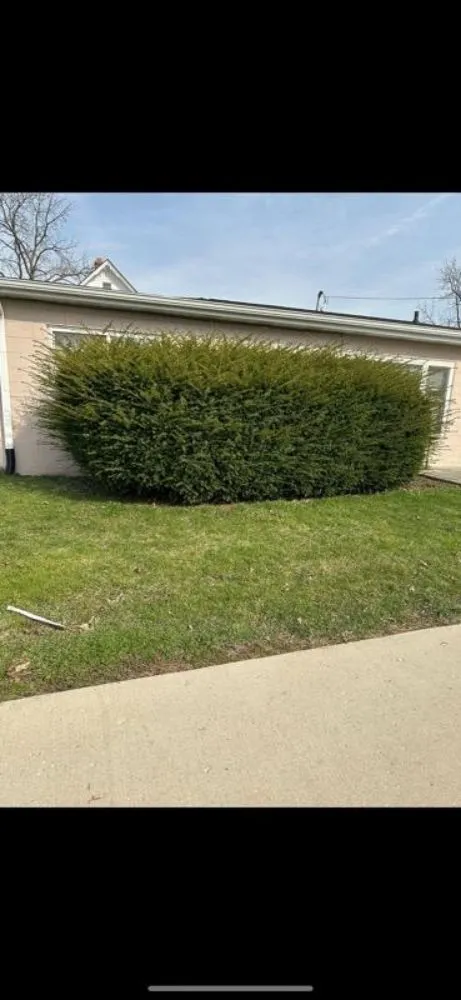 Affordable yard maintenance near you across Rockford, IL - Four Seasons Lawn Care