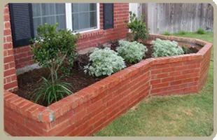 Professional yard cleanup service in San Antonio, TX by Four Seasons Lawn Care