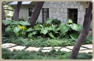 Affordable landscaping services experts serving San Antonio, TX - Four Seasons Lawn Care