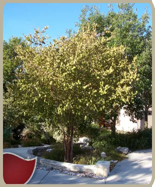 Trusted garden landscaping in San Antonio, TX - Four Seasons Lawn Care