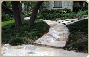 Custom landscape design experts serving San Antonio, TX - Four Seasons Lawn Care