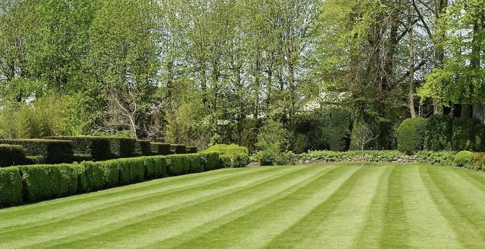 Local yard maintenance near you across Trenton, GA - Four Seasons Lawn Care