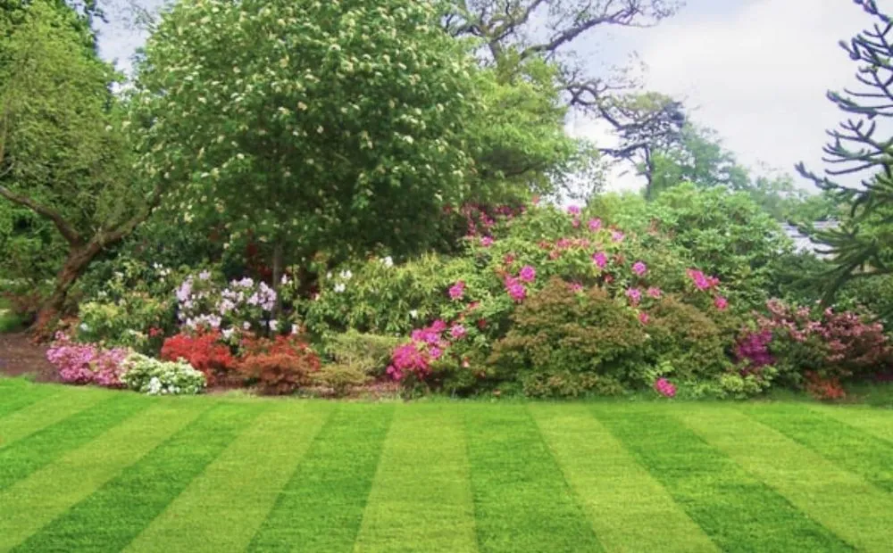 Reliable garden landscaping for homes in Trenton, GA by Four Seasons Lawn Care