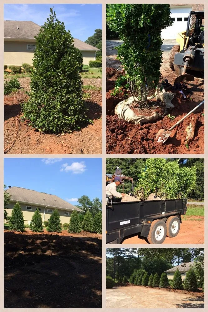 Top-rated lawn mowing service with custom design in Watkinsville, GA by Four Seasons Lawn Maintenance