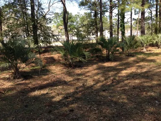 Four Seasons Nursery and Landscaping