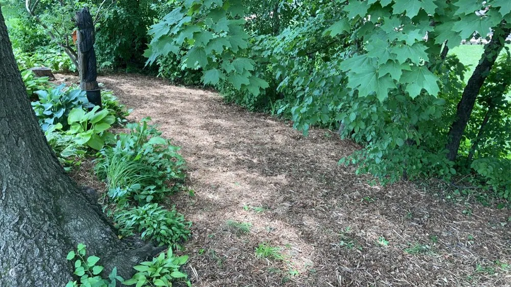 Professional lawn care service for beautiful yards in Charles City, IA by Four Seasons Outdoor Services