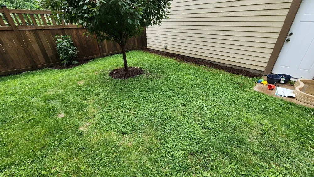 Top-rated yard maintenance in Chisago City, MN by Four Seasons Outdoor Services