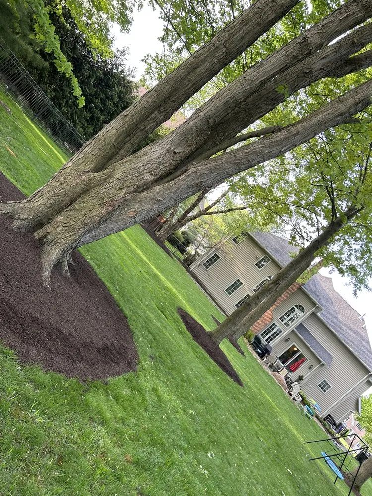 Custom yard cleanup service in Lorain, OH - Four Seasons Outdoor Services