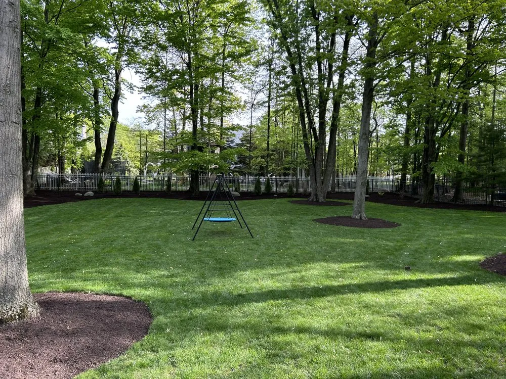 Trusted yard cleanup service near you in Lorain, OH by Four Seasons Outdoor Services