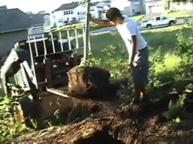 Affordable landscaping services for year-round maintenance in maplewood, MN by Four Seasons Outdoor Services