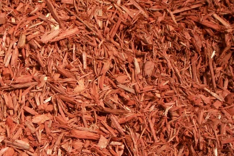 Professional landscaping services in maplewood, MN - Four Seasons Outdoor Services