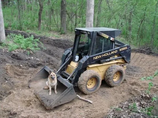 Expert yard cleanup service experts serving maplewood, MN - Four Seasons Outdoor Services