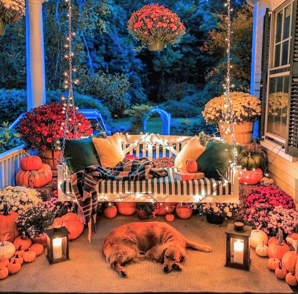 Professional yard maintenance in Spartanburg, SC by Four Seasons Outdoors & More