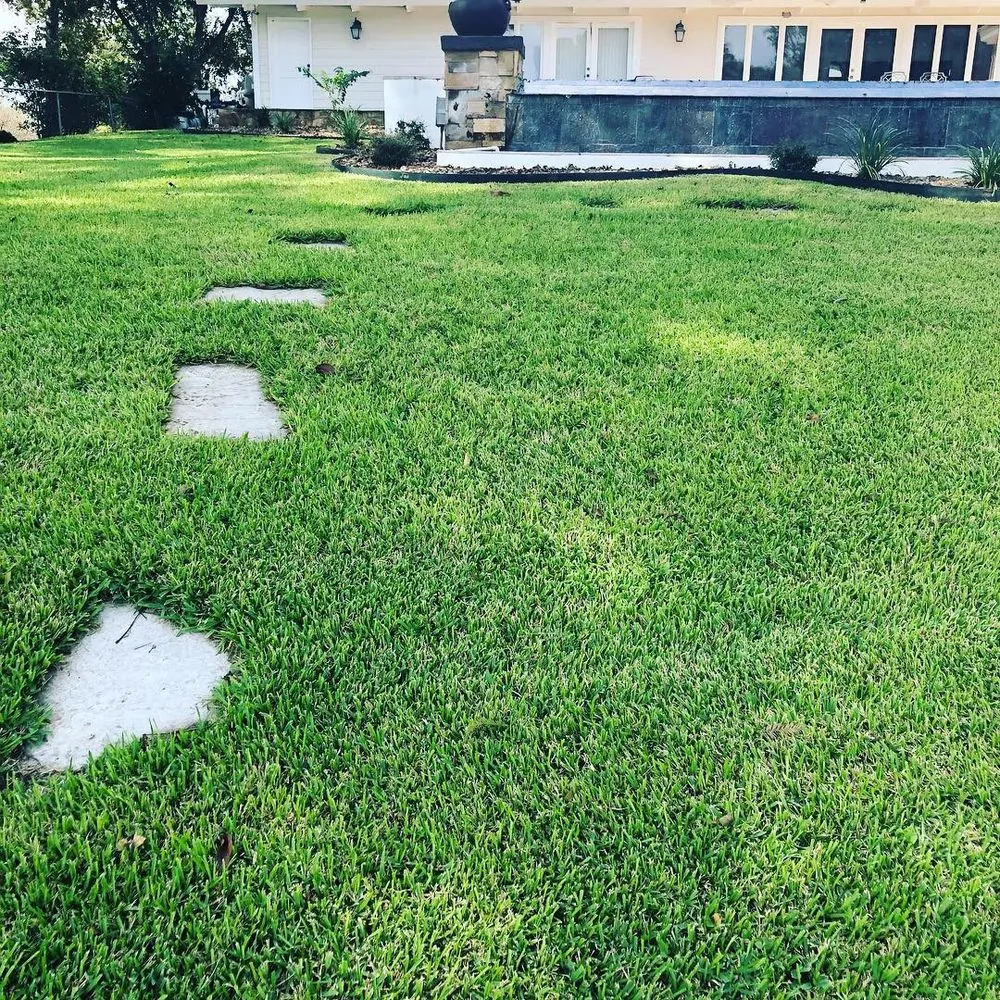 Affordable landscaping services for residential properties in Seguin, TX by Four Seasons Precision Lawn Care