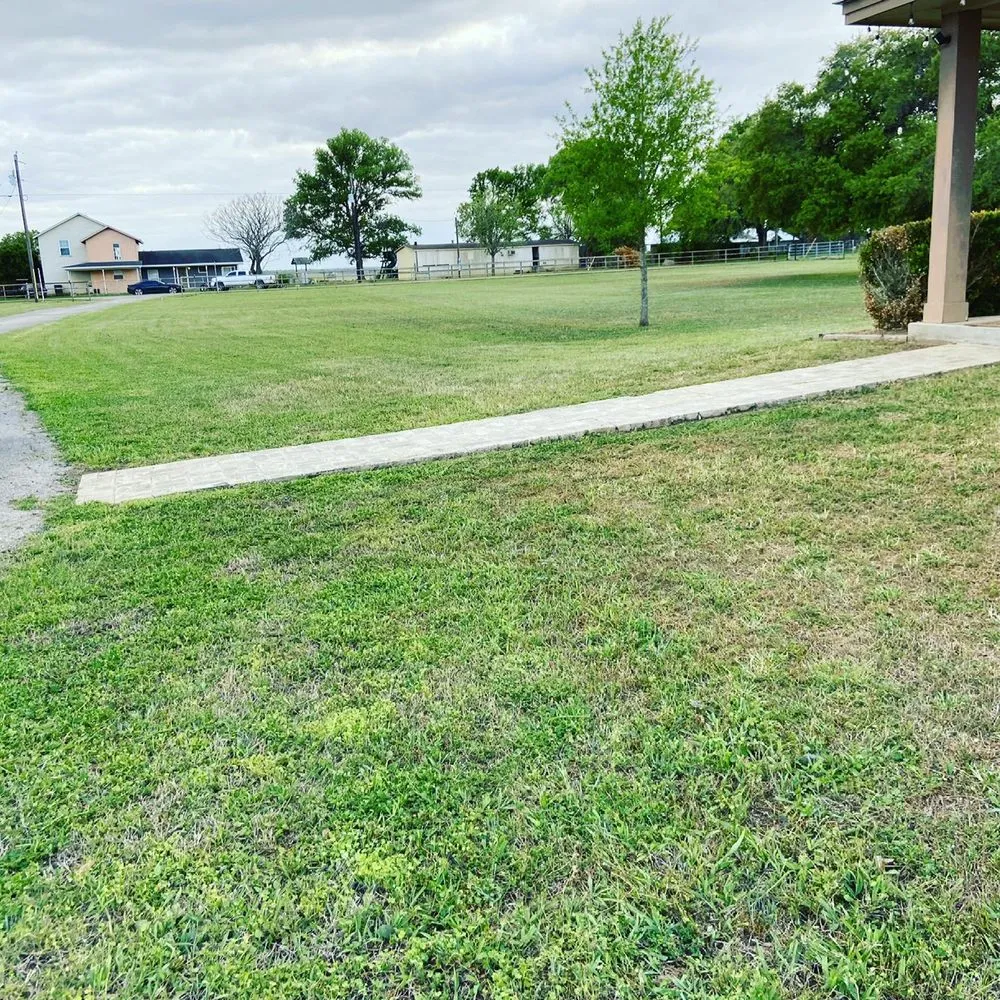 Local yard cleanup service in Seguin, TX by Four Seasons Precision Lawn Care