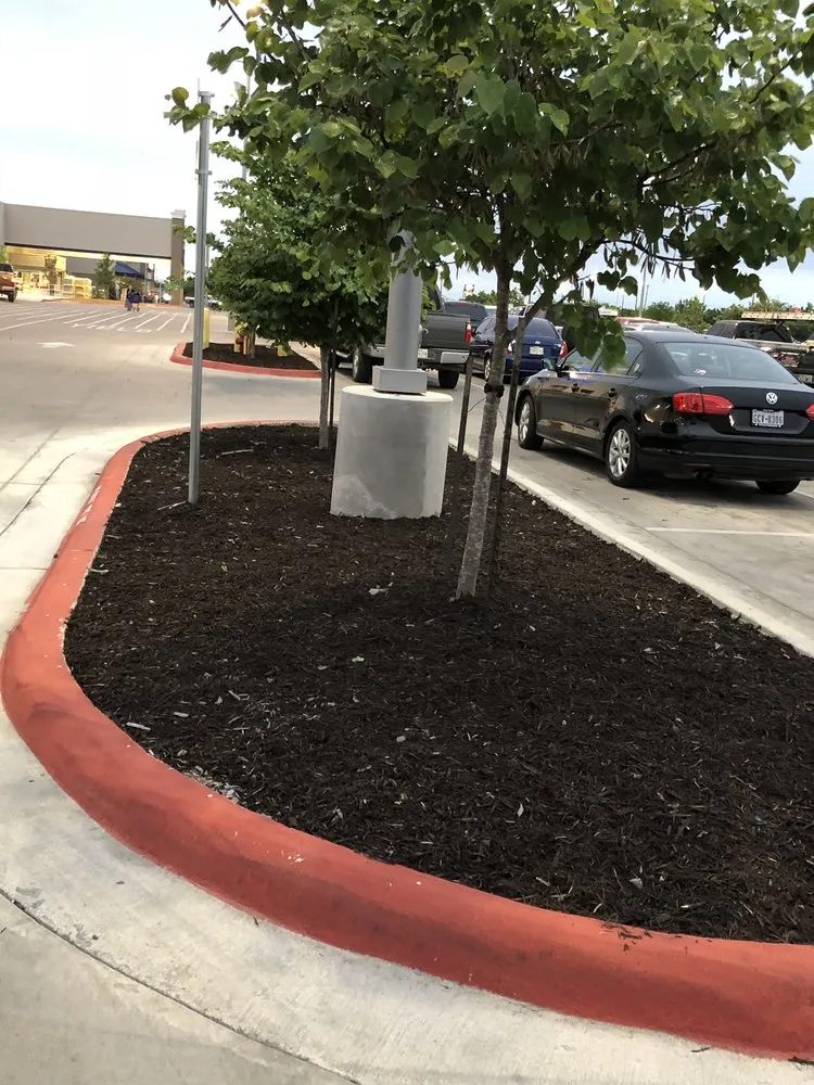 Custom landscaping services in Seguin, TX - Four Seasons Precision Lawn Care