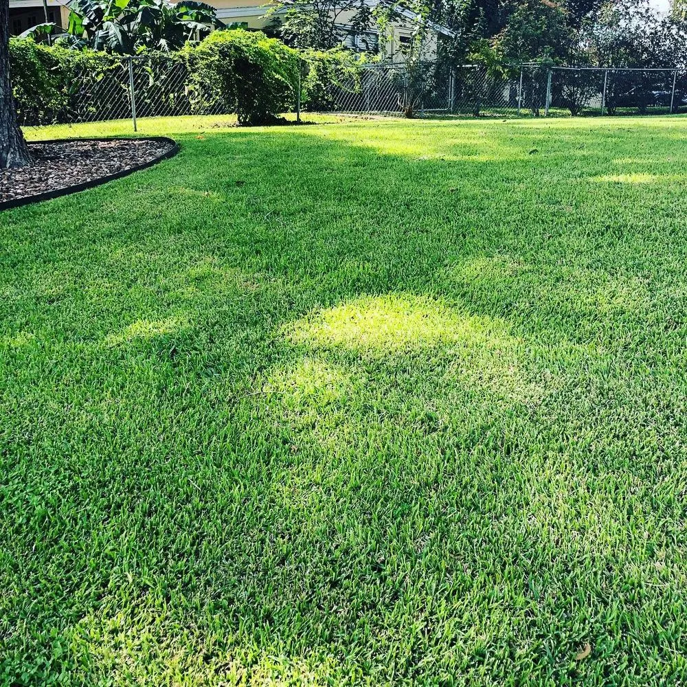 Professional residential landscaping for residential properties in Seguin, TX by Four Seasons Precision Lawn Care