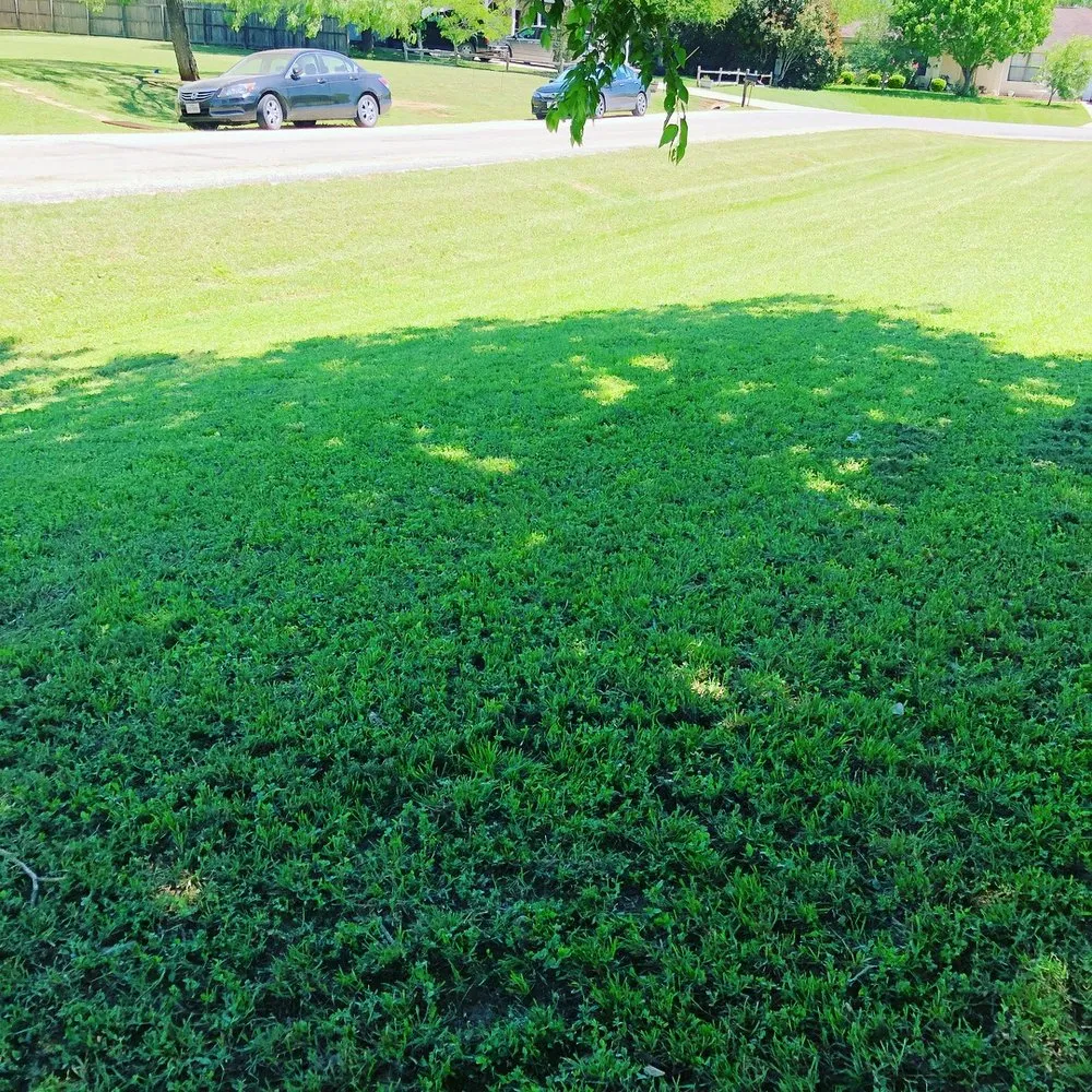 Reliable garden landscaping for residential properties in Seguin, TX by Four Seasons Precision Lawn Care