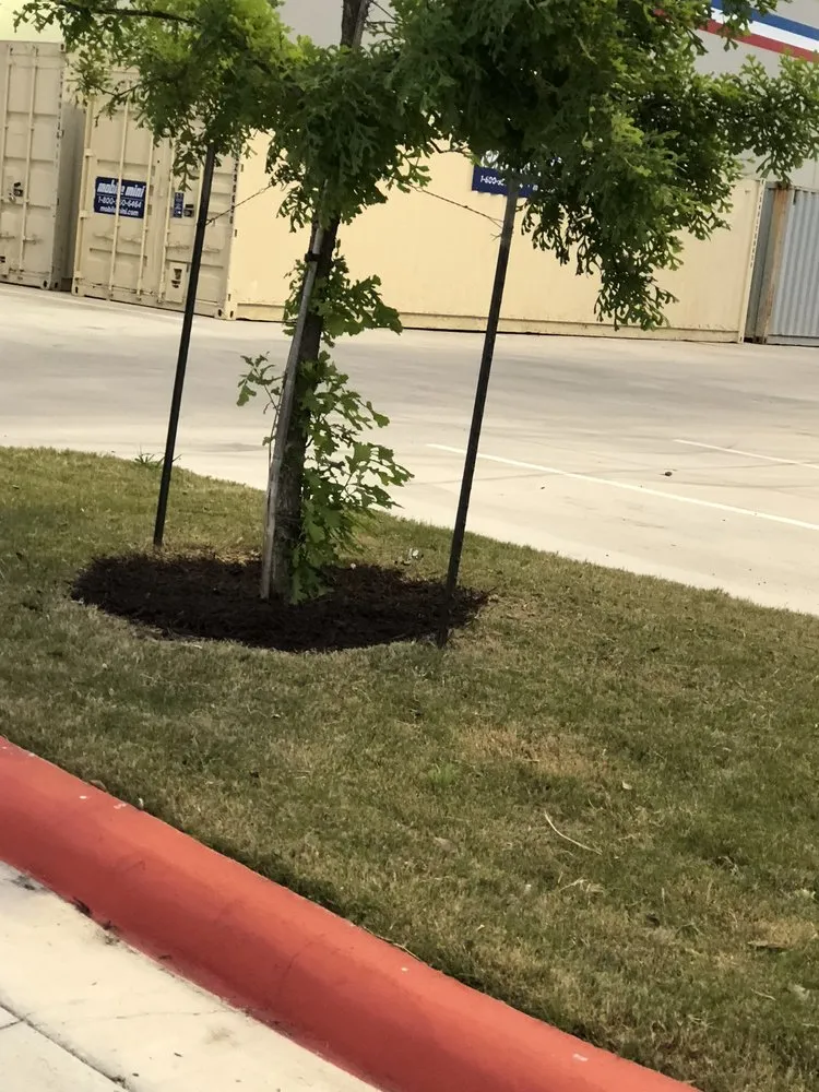 Expert residential landscaping for homes across Seguin, TX - Four Seasons Precision Lawn Care