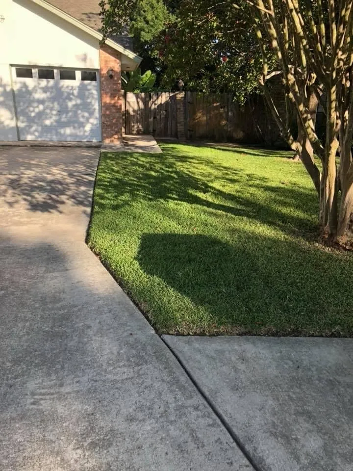 Expert yard maintenance for year-round maintenance in Seguin, TX by Four Seasons Precision Lawn Care