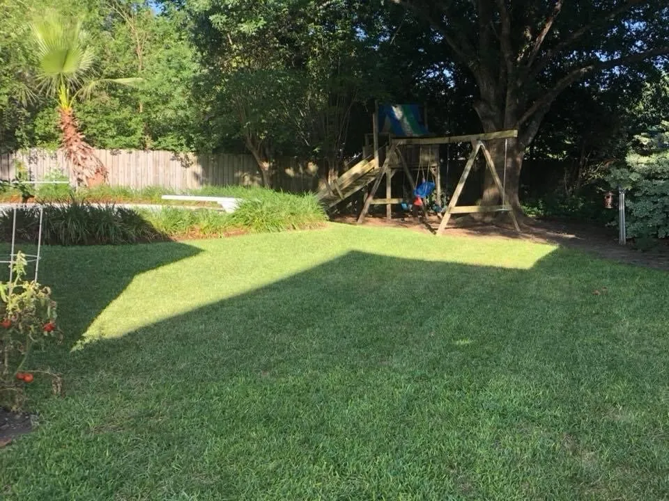 Affordable landscape installation for beautiful yards in Seguin, TX by Four Seasons Precision Lawn Care