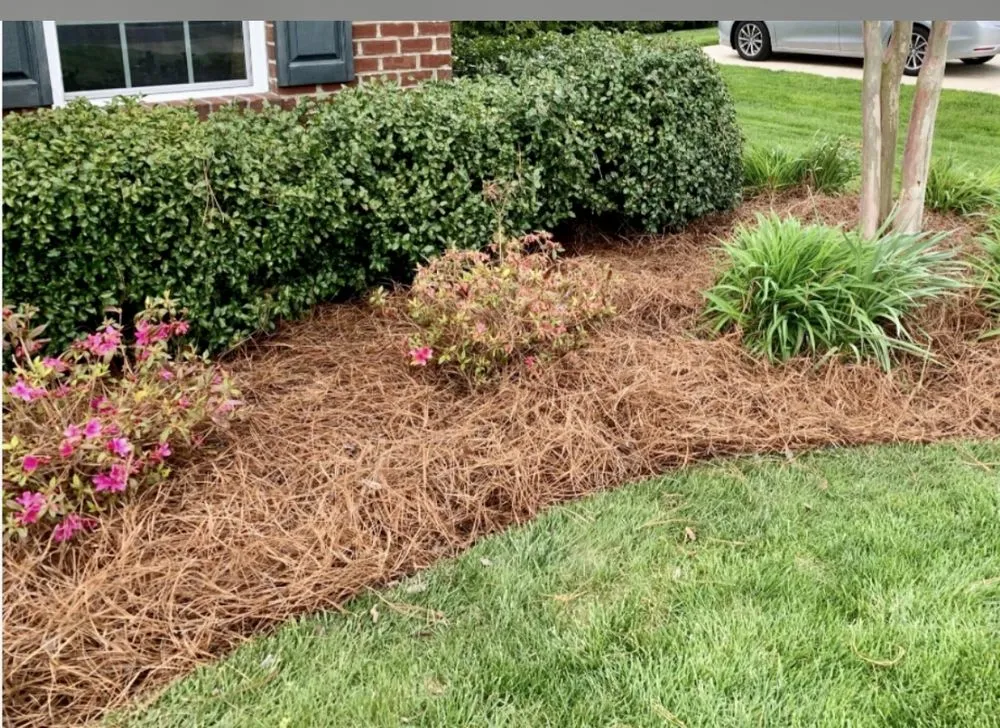 Professional lawn mowing service for homes across Sylva, NC - Four Seasons Property Enhancements