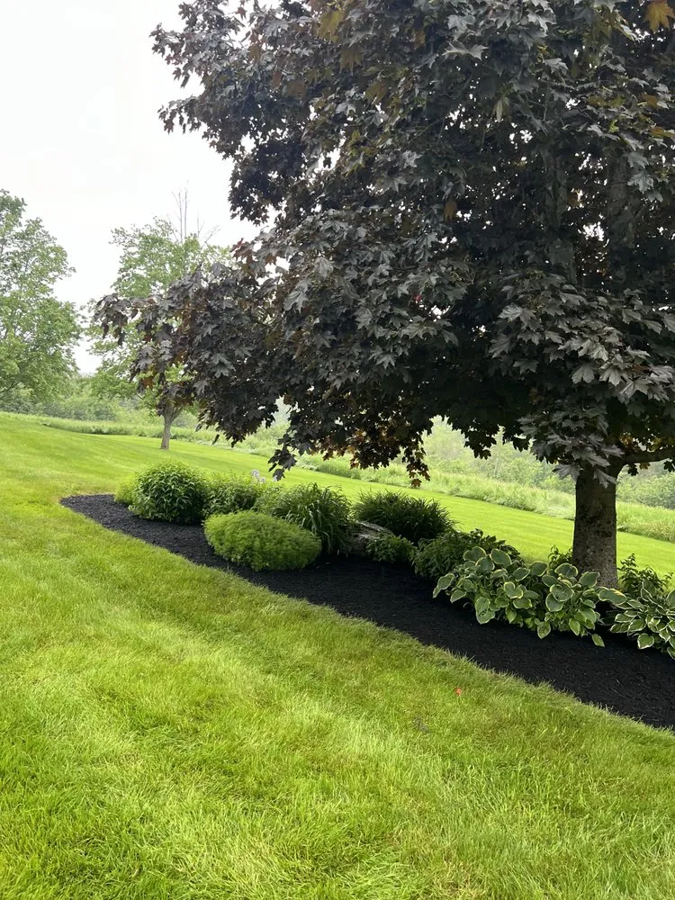 Affordable lawn mowing service experts serving Swanville, ME - Four Seasons Property Maintenance