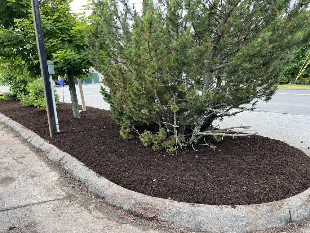 Affordable lawn care service for beautiful yards in Swanville, ME by Four Seasons Property Maintenance