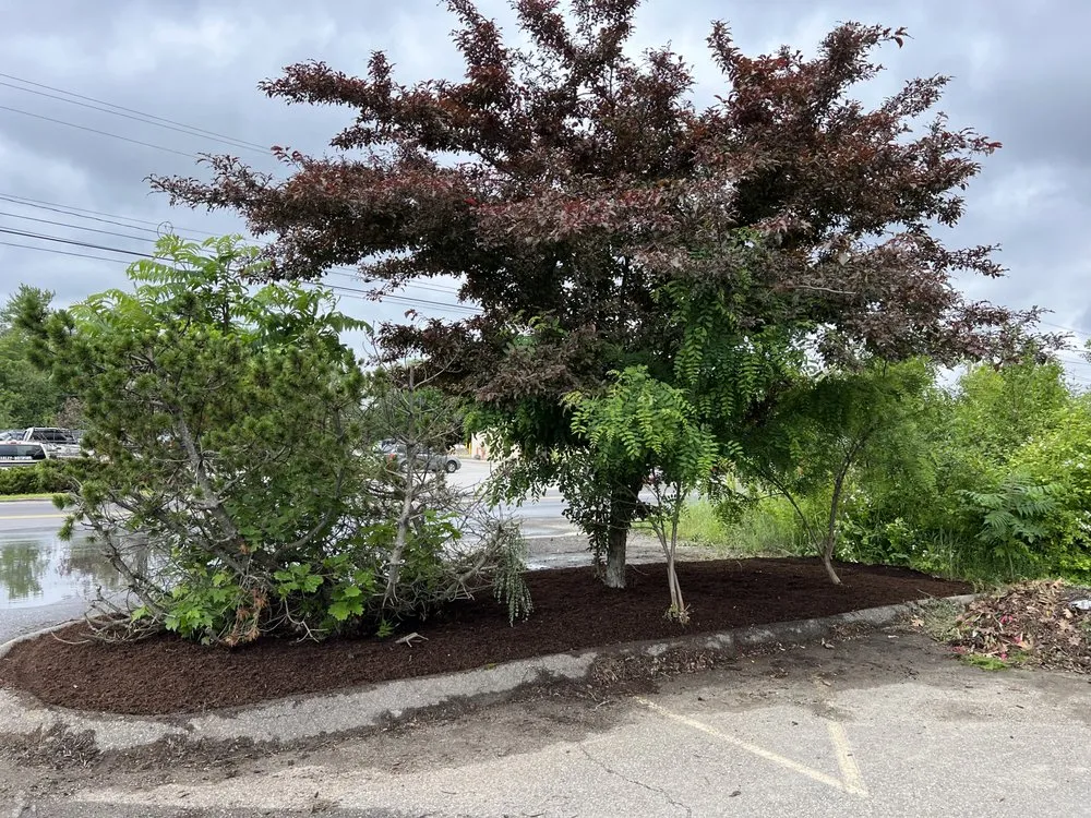 Local residential landscaping in Swanville, ME by Four Seasons Property Maintenance