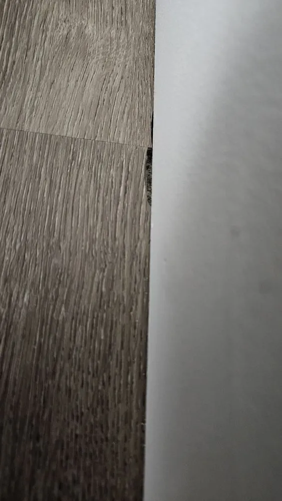 Professional lawn mowing service experts serving Denver, CO - Four Seasons Ready Construction