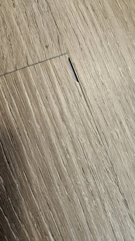 Local lawn mowing service for outdoor upgrades across Denver, CO - Four Seasons Ready Construction