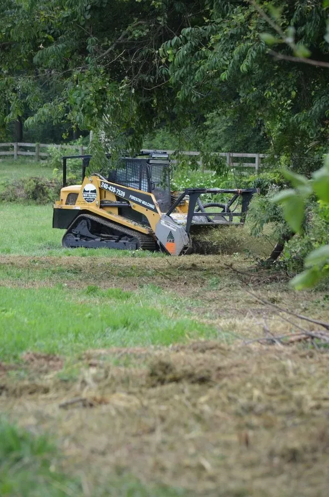 Top-rated landscaping services in Middletown, MD by Four Seasons Solutions