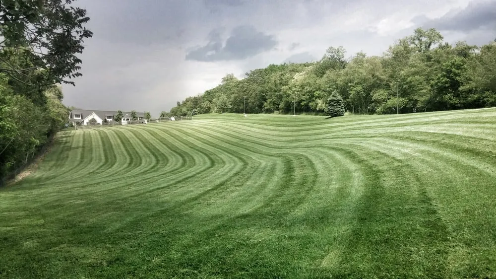 Trusted yard cleanup service in Middletown, MD by Four Seasons Solutions