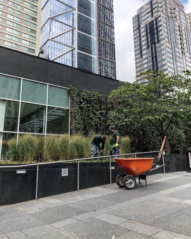 Custom yard maintenance for outdoor upgrades in Philadelphia, PA by Four Seasons Total Landscaping