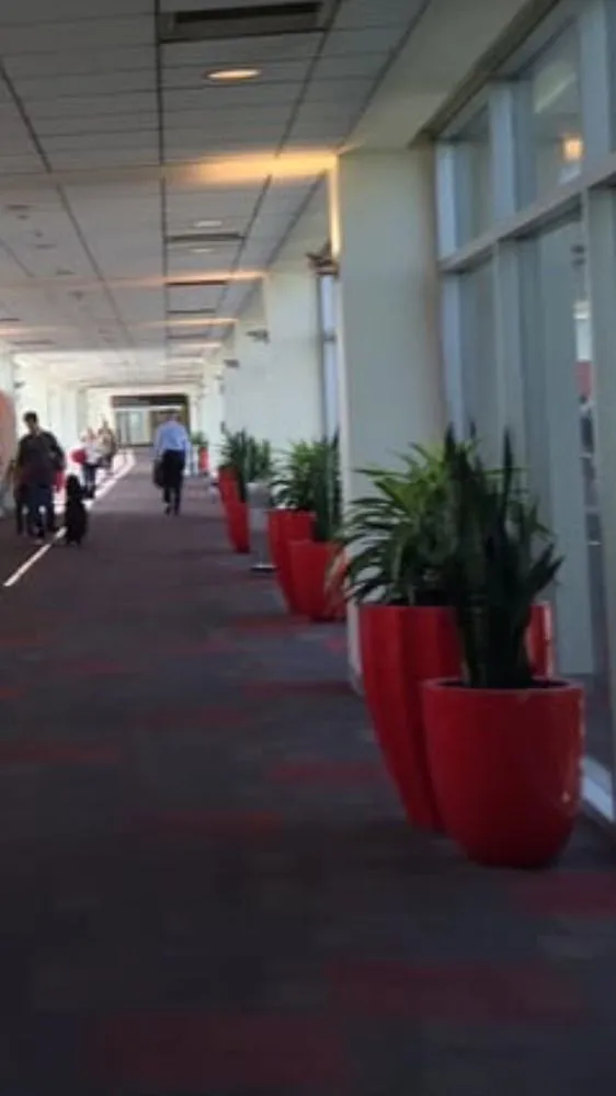 Reliable landscaping services with custom design in Philadelphia, PA by Four Seasons Total Landscaping