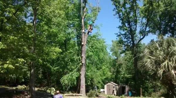 Custom garden landscaping experts serving Columbia, SC - Four Seasons Tree Service