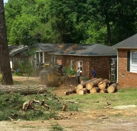 Local yard maintenance experts serving Columbia, SC - Four Seasons Tree Service