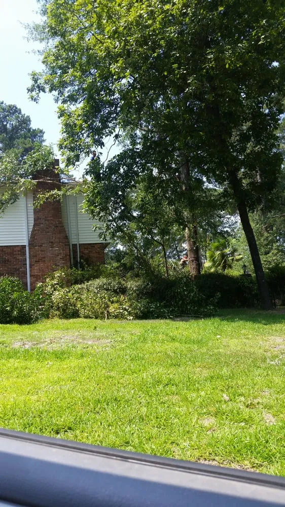 Professional garden landscaping with custom design in Columbia, SC by Four Seasons Tree Service