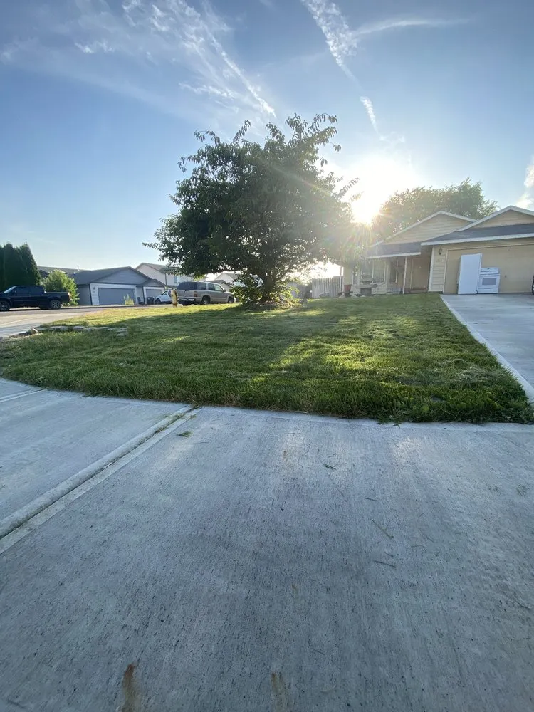 Trusted lawn care service for outdoor upgrades across Pasco, WA - Four Seasons Yard Care