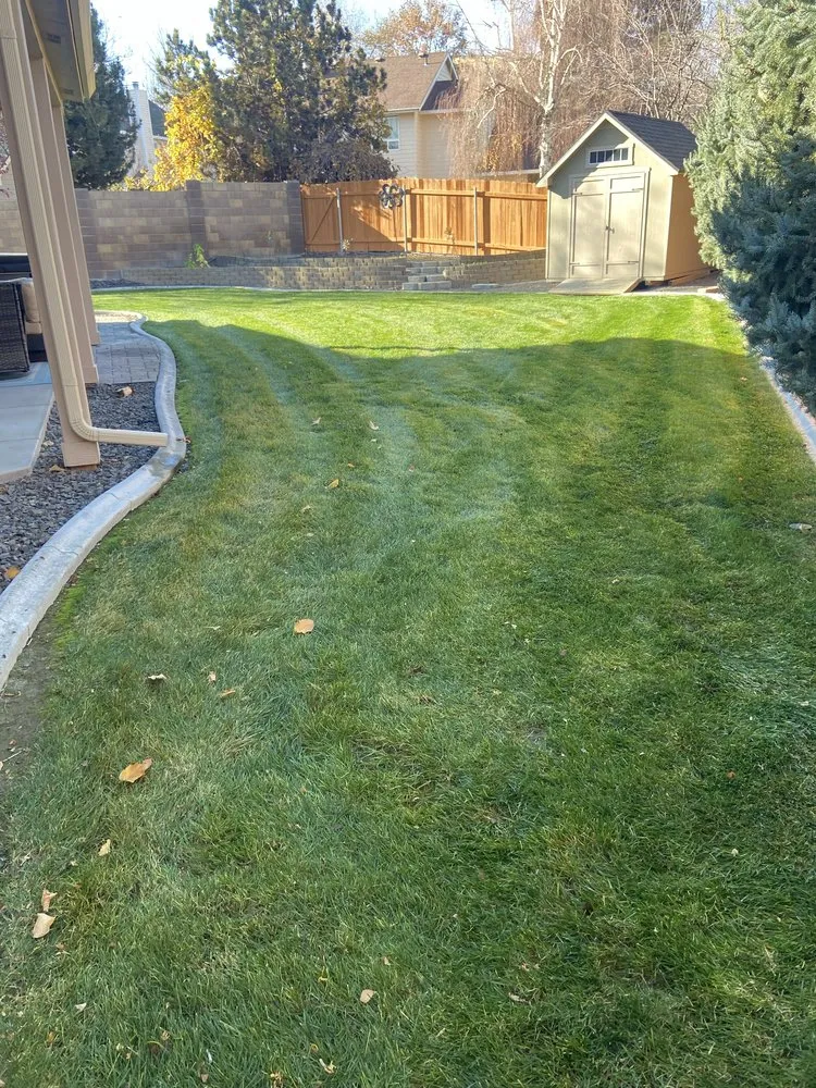 Local lawn care service experts serving Pasco, WA - Four Seasons Yard Care